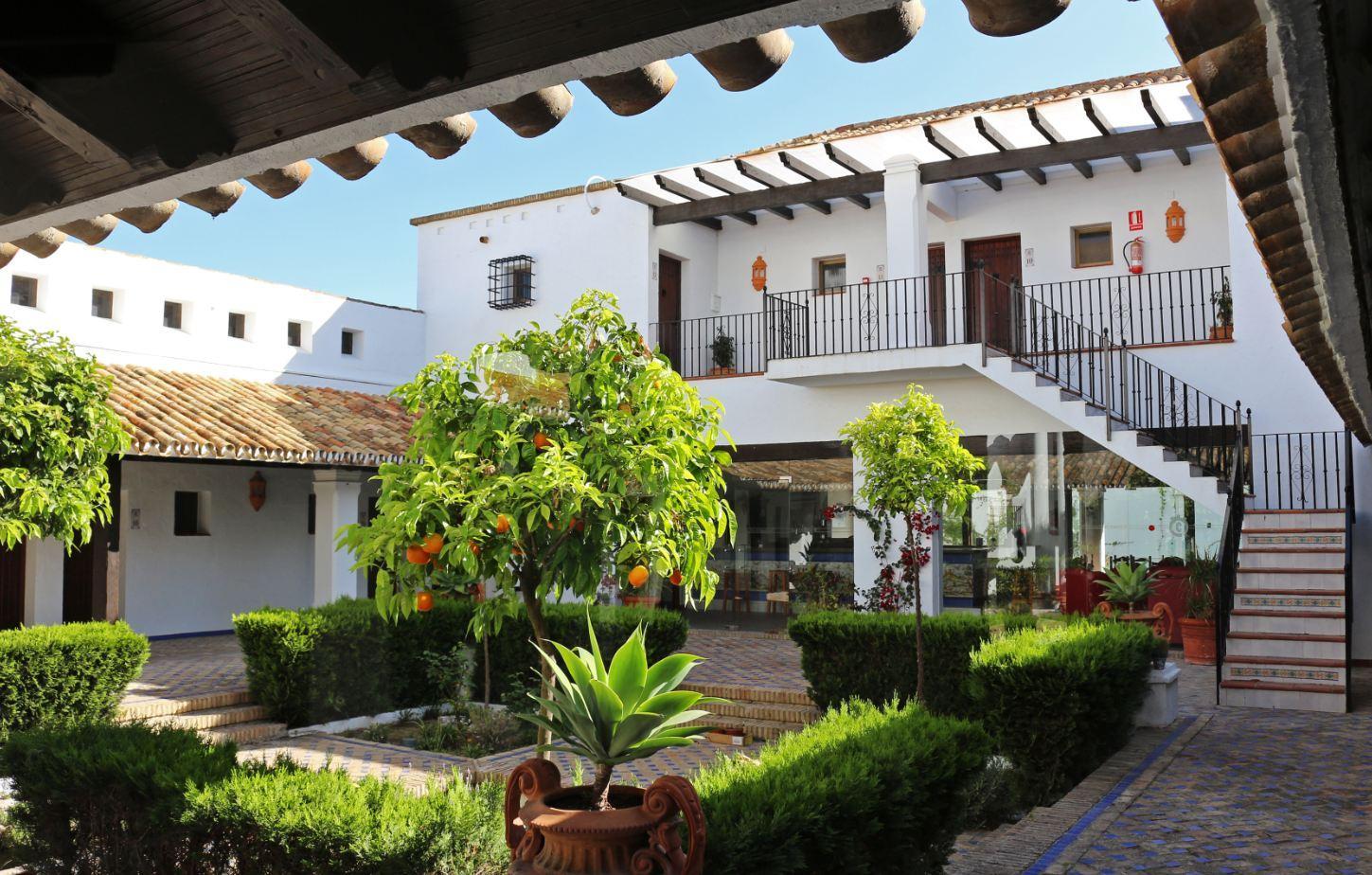 Hotel Moon Dreams El Cortijo Matalascañas Zewnętrze zdjęcie